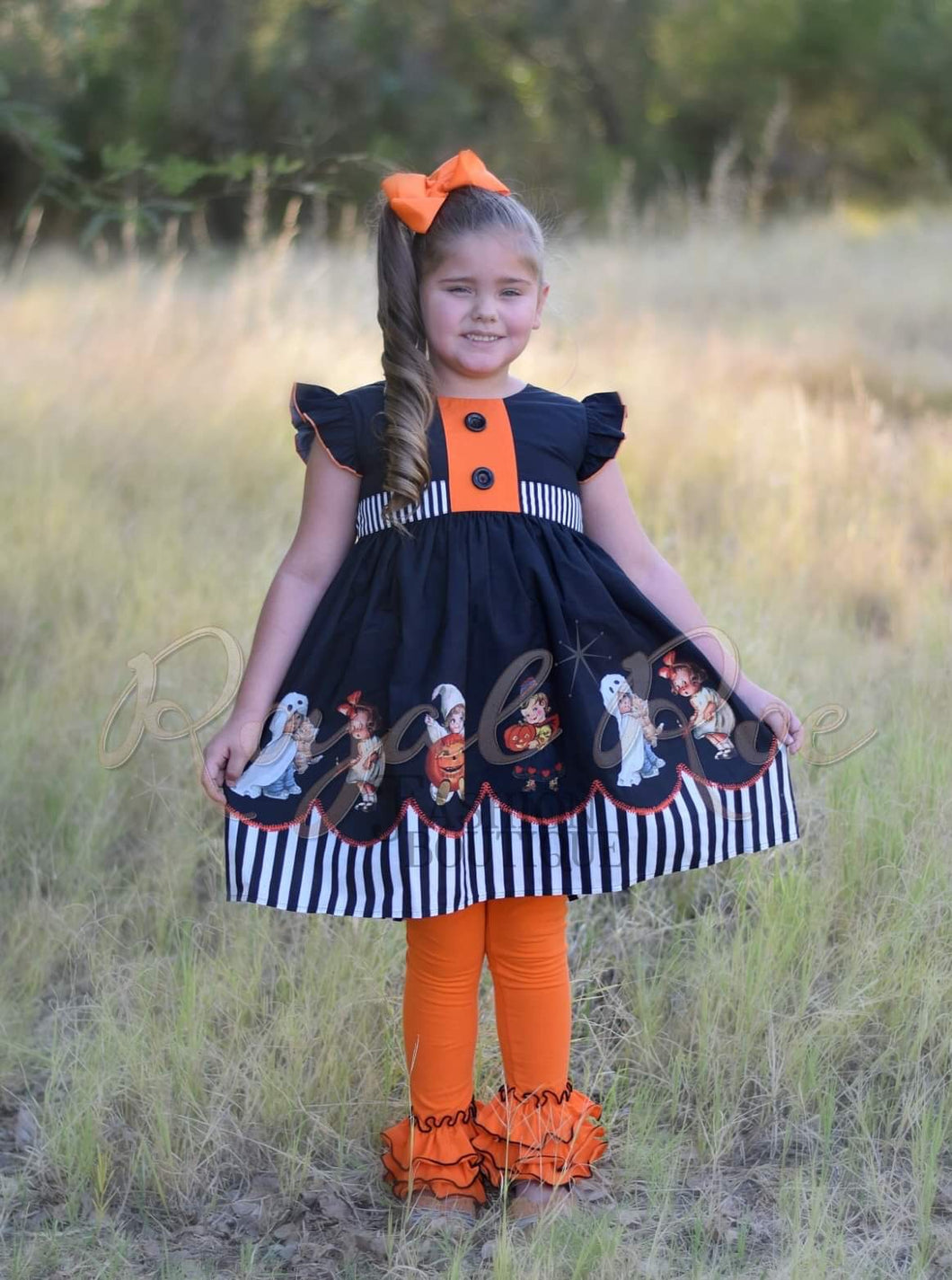 Vintage Halloween Spooktacular Dress and Set Royal Roe LLC